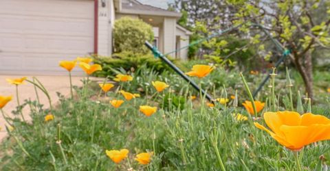 166 Placer Dr, Jackson, CA 95642 Photo