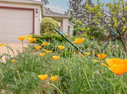 166 Placer Dr, Jackson, CA 95642 Photo
