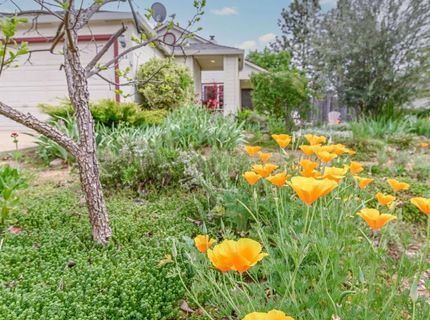 166 Placer Dr, Jackson, CA 95642 Photo