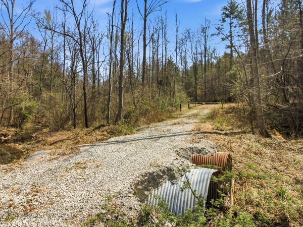 206 Dan Young Rd, Robbins, TN 37852