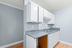 250 Pine Shadow Drive photo 4