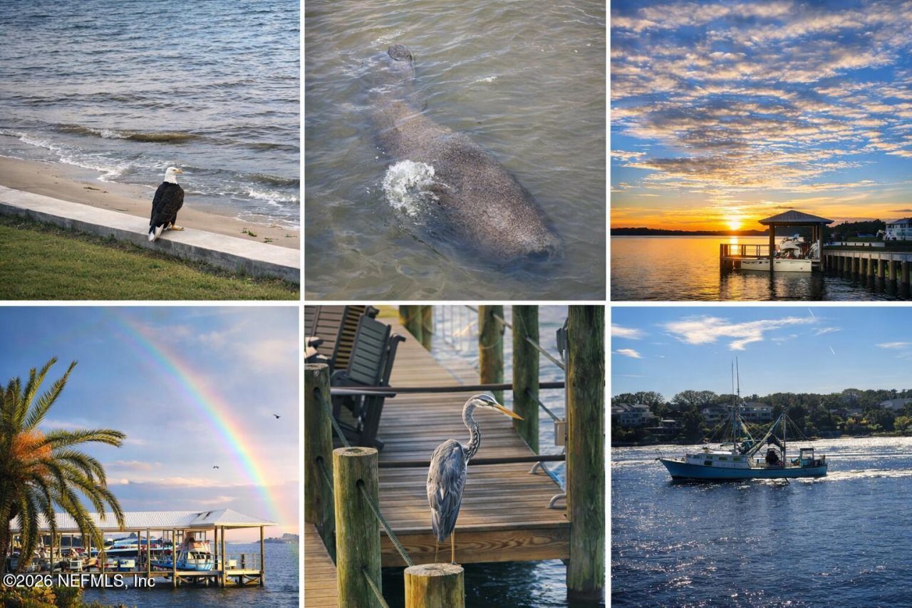 7156 Ramoth Drive, Jacksonville, FL 32226 Photo