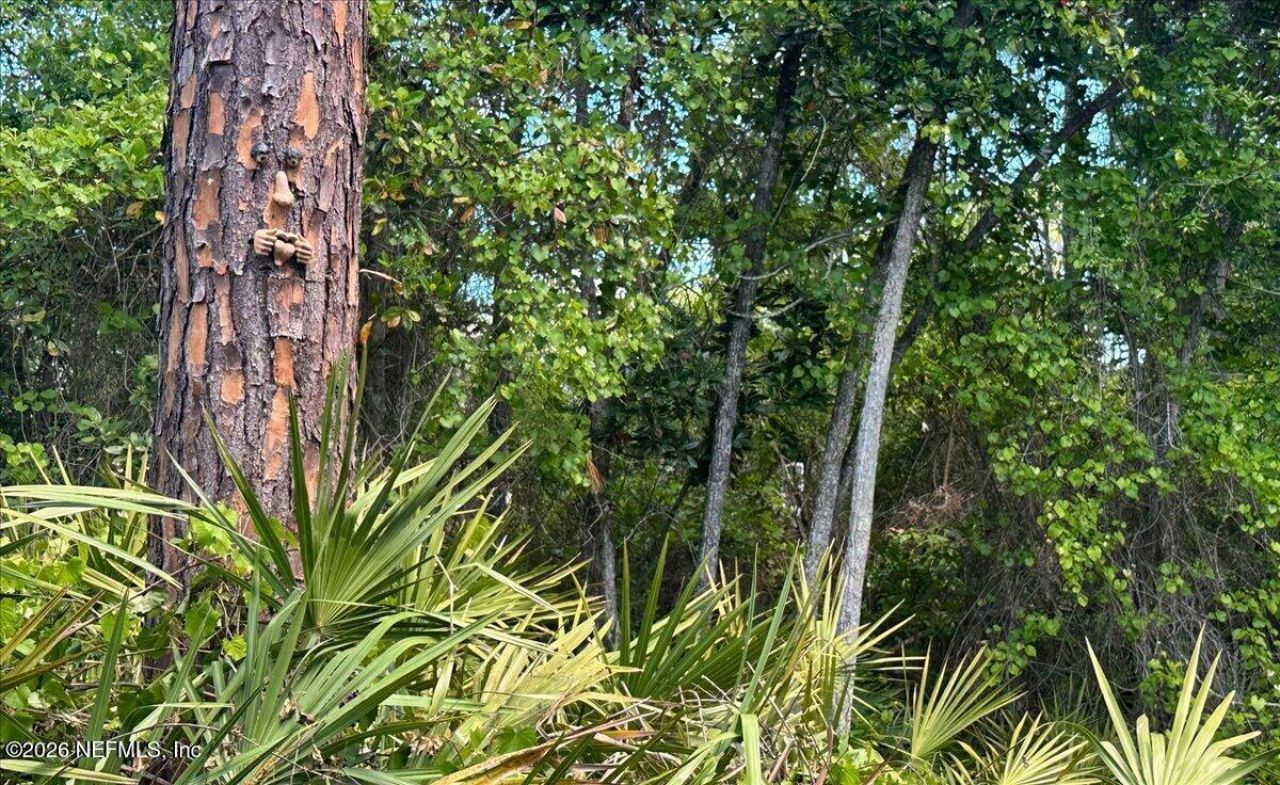 240 St Johns Forest Boulevard, Saint Johns, FL 32259 Photo