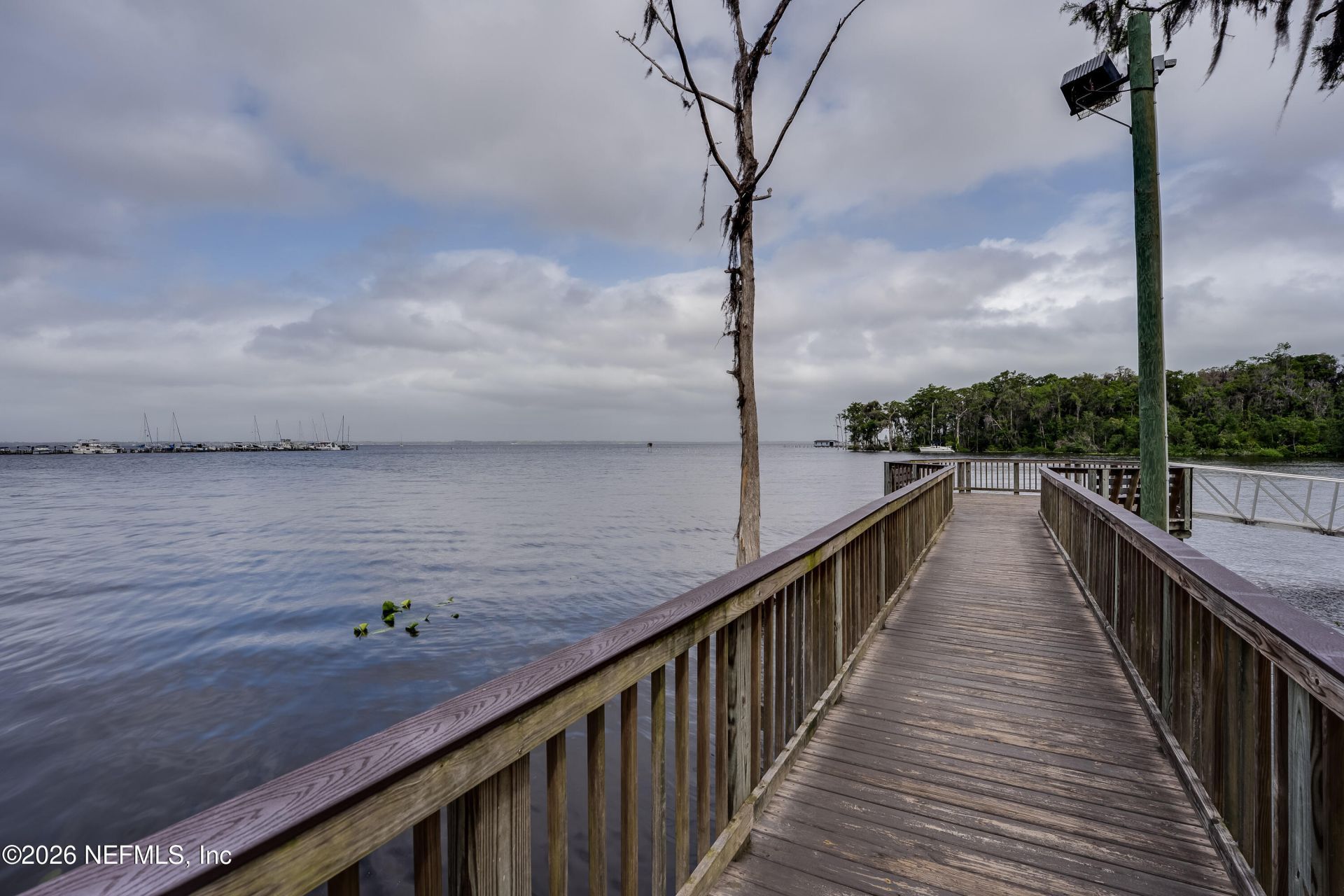 1124 Ashmore Drive, Saint Johns, FL 32259 Photo