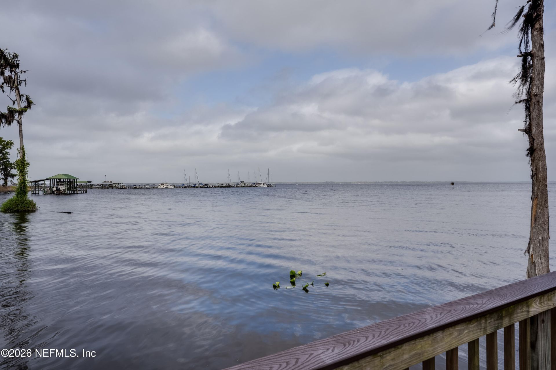 1124 Ashmore Drive, Saint Johns, FL 32259 Photo