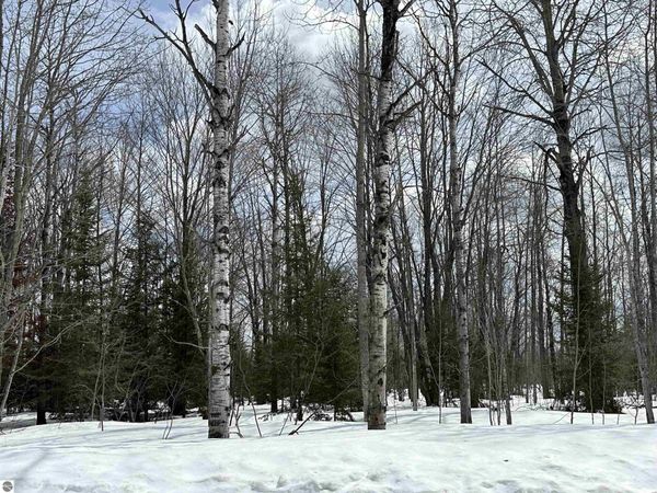 Thornton Drive, Mancelona, MI 49659