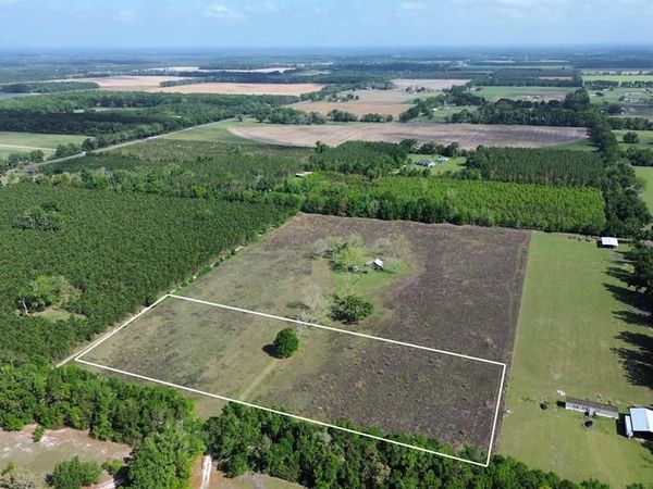 5620 SW 40th St, Bell, FL 32619