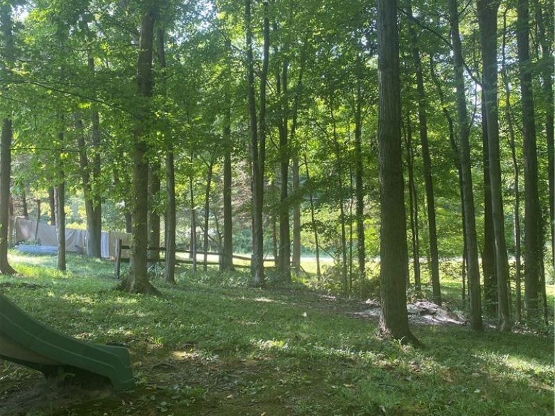 1022 Big Bass Road, Willard, OH 44890 Photo 38