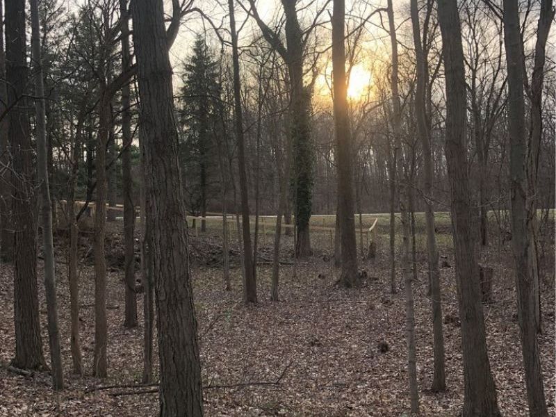 1022 Big Bass Road, Willard, OH 44890 Photo 39