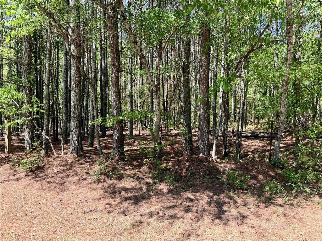 0 Haw Creek Drive, Cumming, GA 30041 Main Photo
