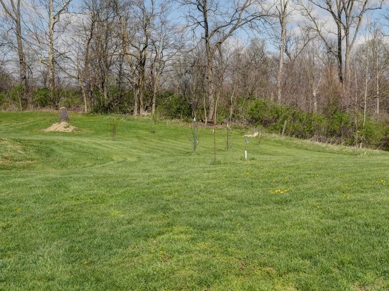 7745 Spidel Road, Bradford, OH 45308 Photo 54