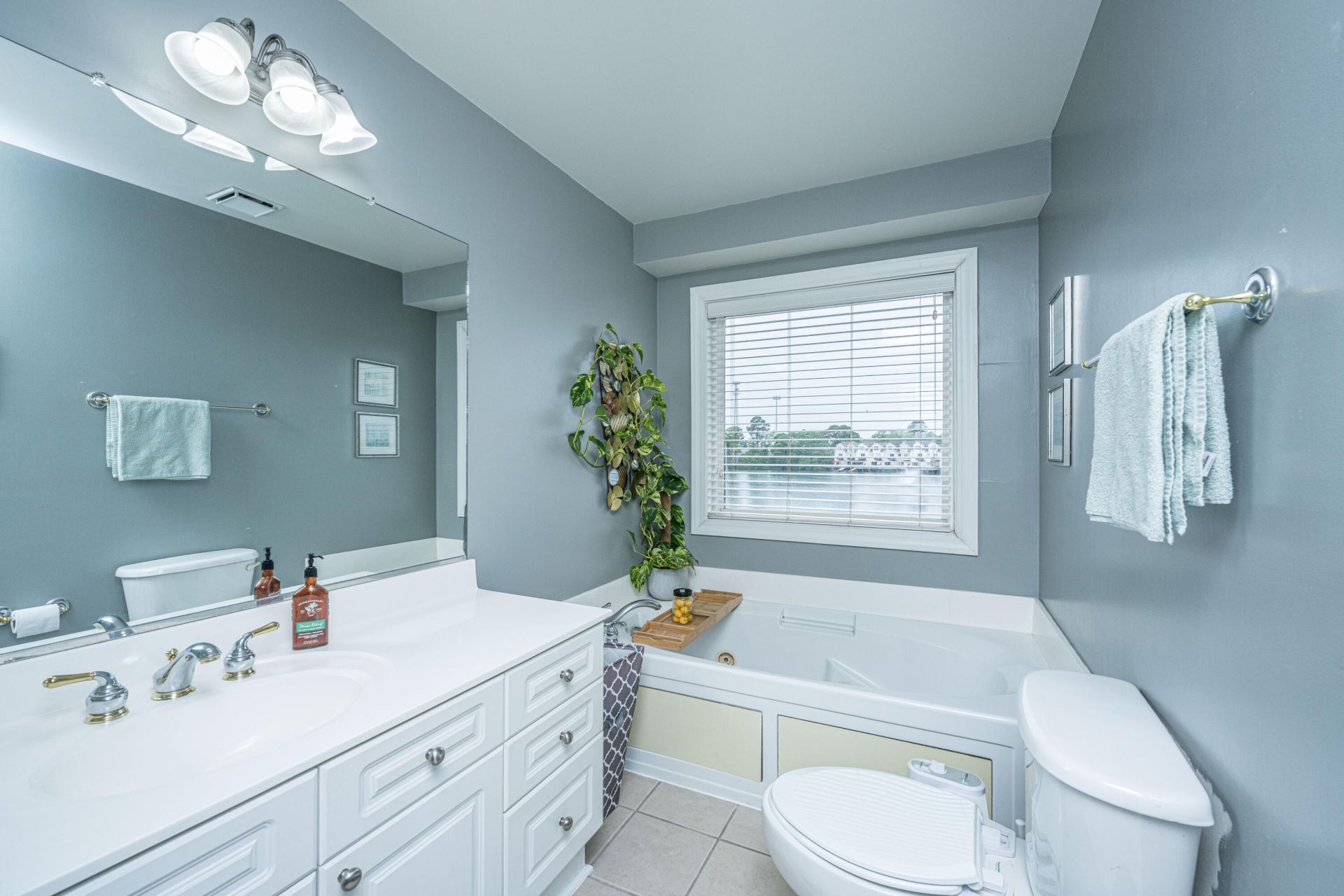 4933 Lake Palmetto Lane Photo 22