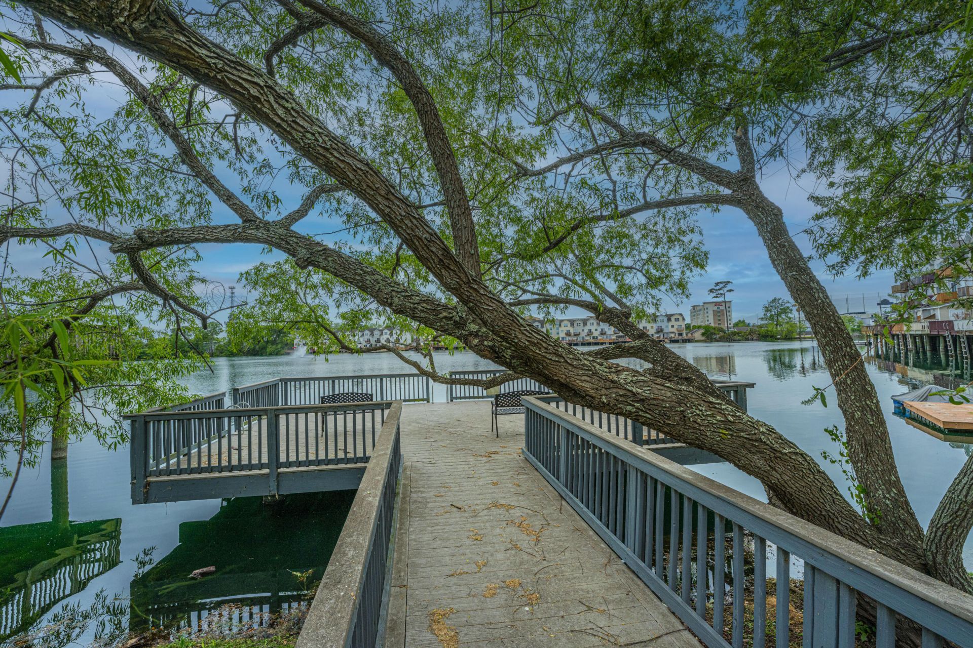 4933 Lake Palmetto Lane Photo 37