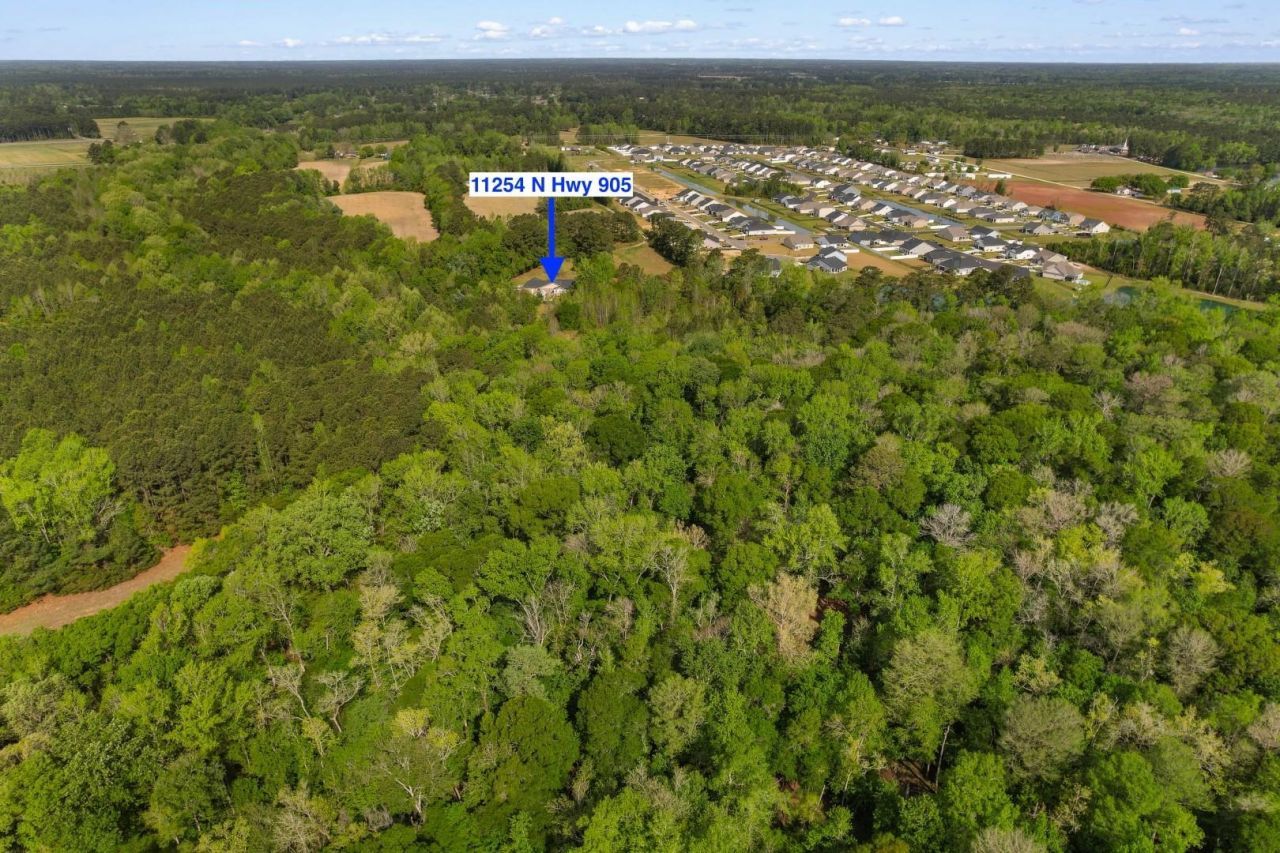 11254 N Highway 905 Photo 37