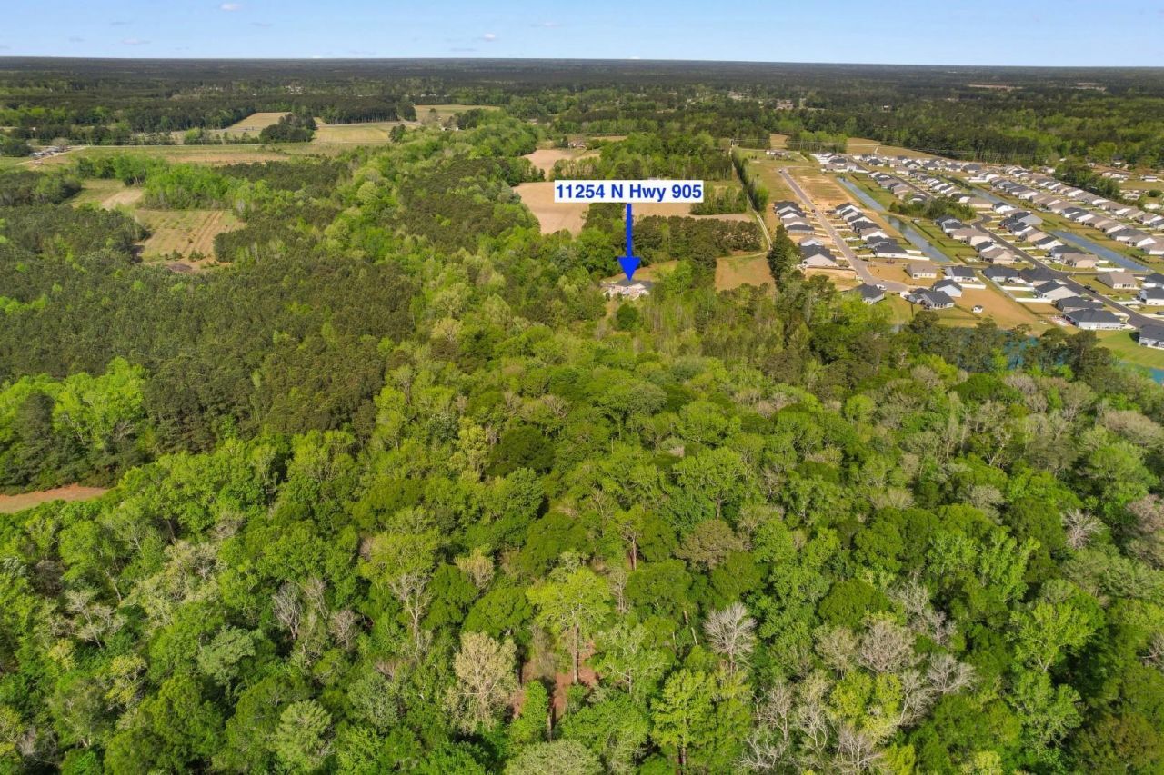 11254 N Highway 905 Photo 38