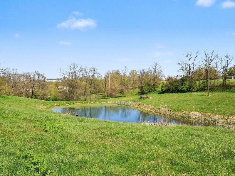 12822 Cleek Lane, Walton, KY 41094 Photo 28