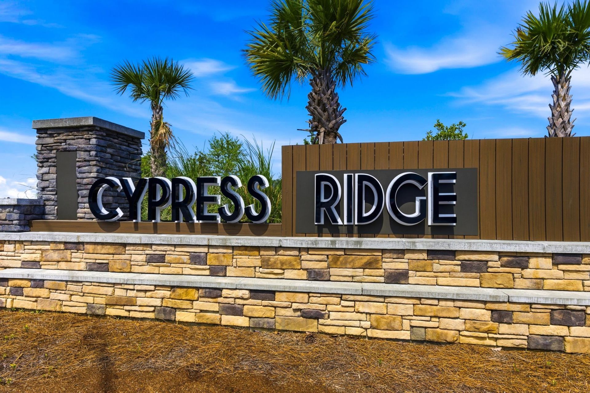 1113 Lauryn Oak Loop Photo 41