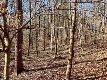 1000 Cross Link Road, Raleigh, NC 27610
