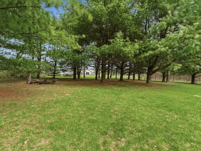 8890 Lithopolis Road NW, Canal Winchester, OH 43110 Photo 57