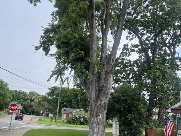 725 N 9th ST , Nashville, TN 37206