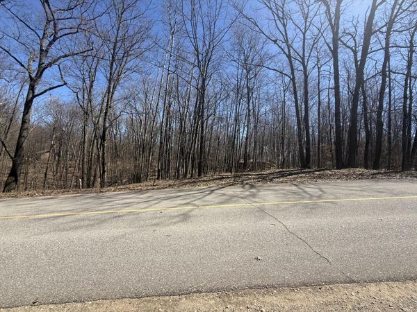 10270 Timberlane Drive, Canadian Lakes, MI 49346