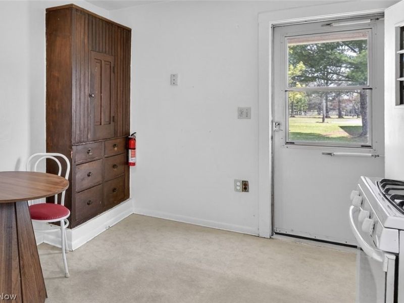 45089 E Hamilton Street, Oberlin, OH 44074 Photo 19