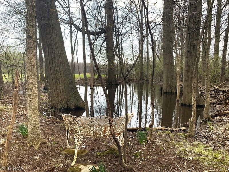 45089 E Hamilton Street, Oberlin, OH 44074 Photo 44