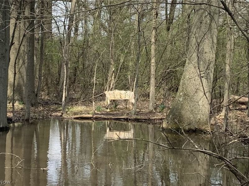 45089 E Hamilton Street, Oberlin, OH 44074 Photo 45