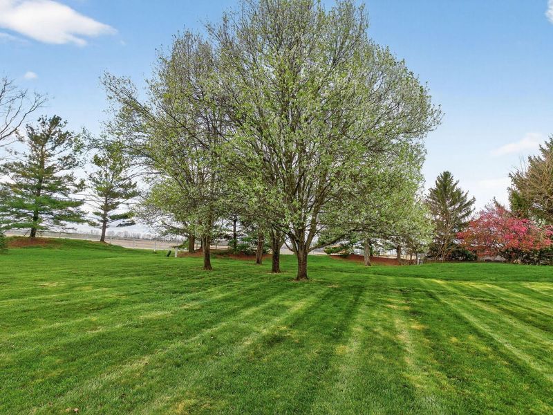 2964 Wyse Court, Lewis Center, OH 43035 Photo 41