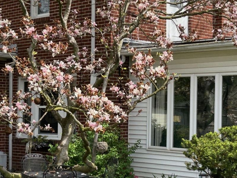 603 N Ash Street, Celina, OH 45822 Photo 38