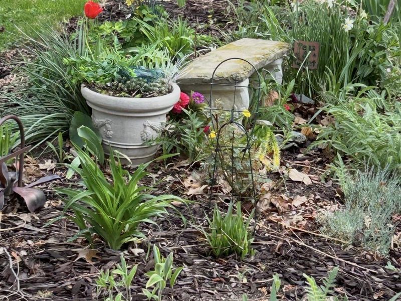 603 N Ash Street, Celina, OH 45822 Photo 39