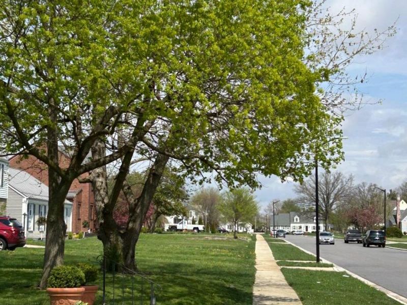 603 N Ash Street, Celina, OH 45822 Photo 42