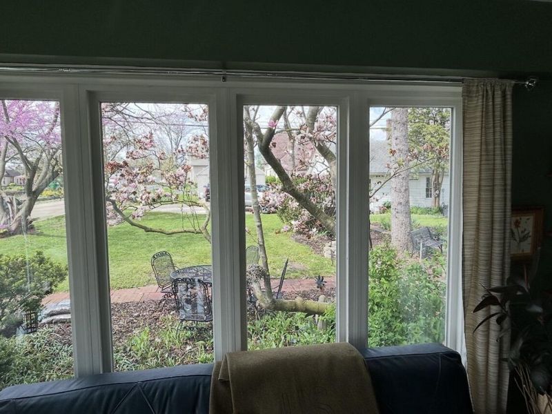 603 N Ash Street, Celina, OH 45822 Photo 8