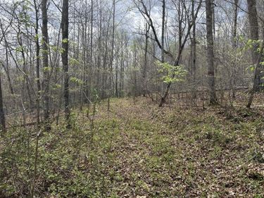 2000b Greenford Road, Monticello, KY 42633