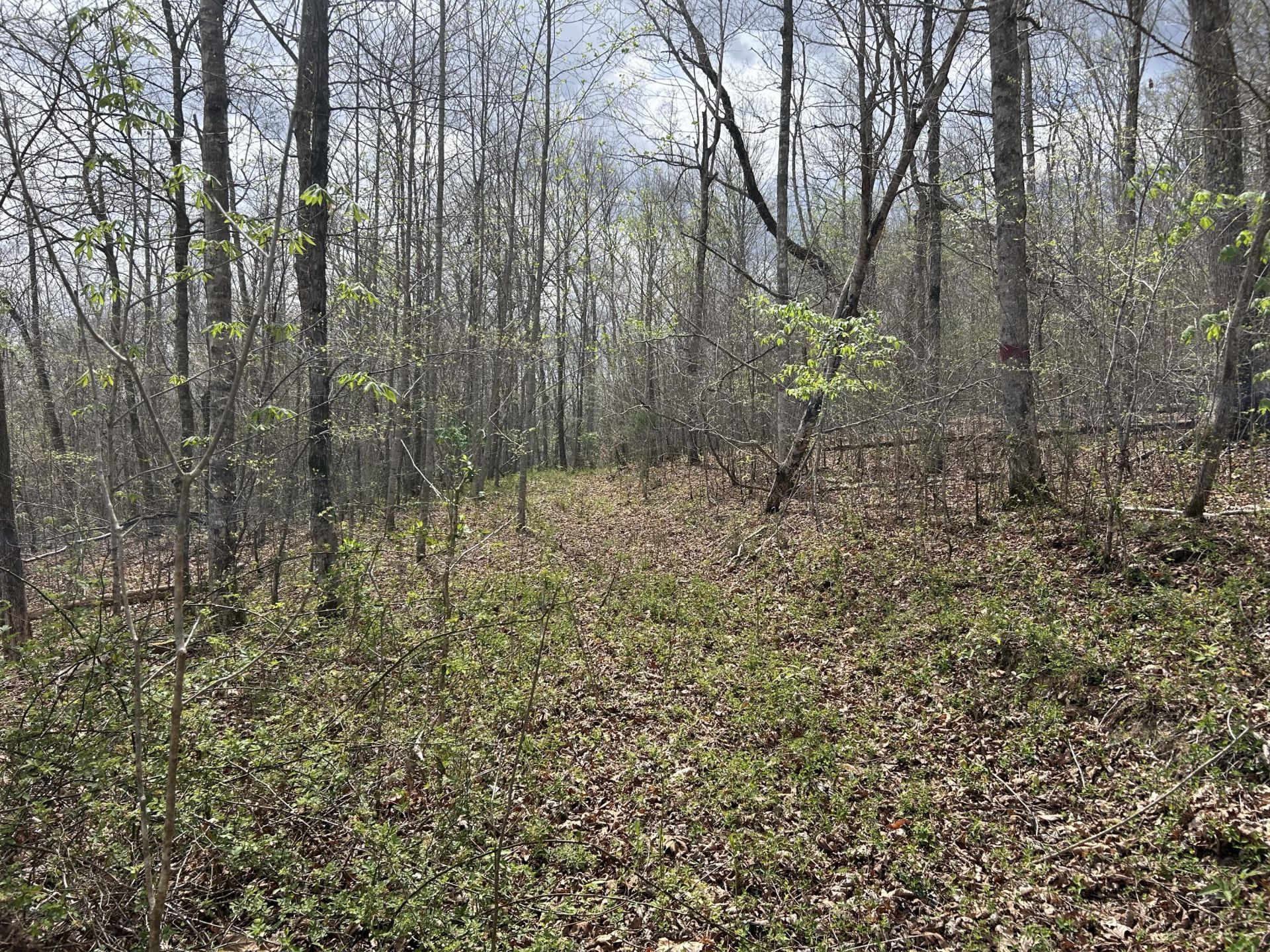 2000b Greenford Road, Monticello, KY 42633 Main Photo