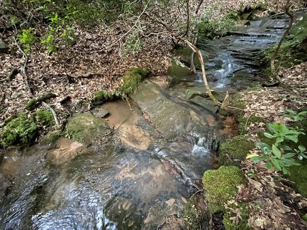 64 Kristen Lane, Ellijay, GA 30540