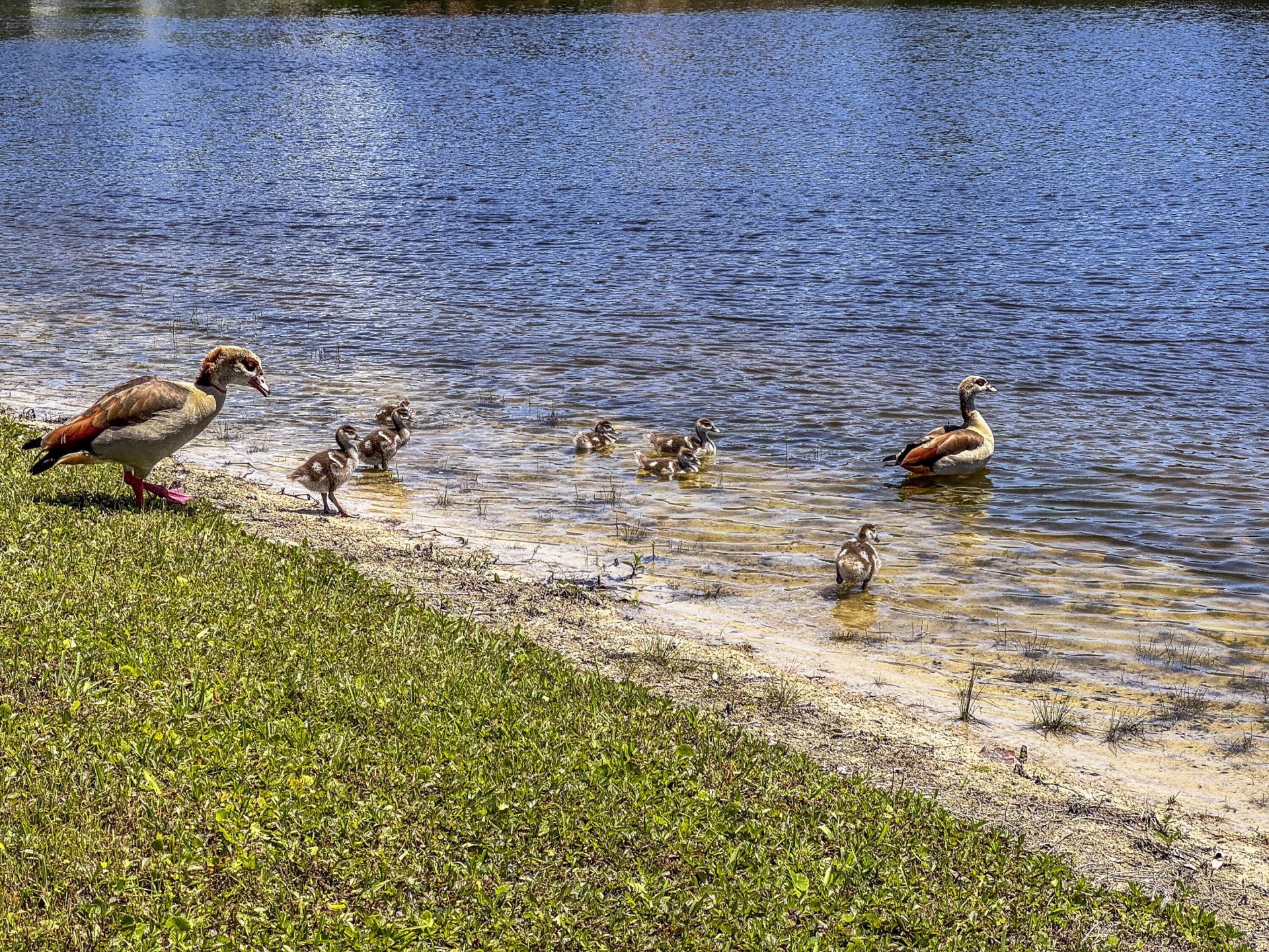 18910 Sweet Pepper Court, Jupiter, FL 33458 Photo