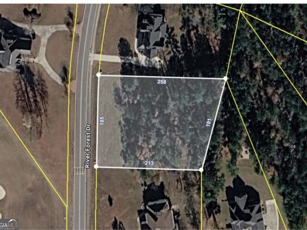 203 River Forest Drive, Forsyth, GA 31029