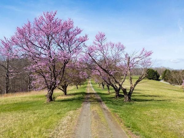 Lot 17R MIMOSA LN , Unit 17R, FABER, VA 22938