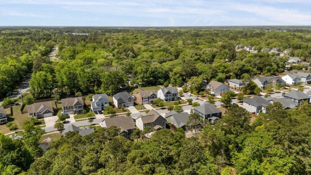 1594 Fishbone Drive Photo 50