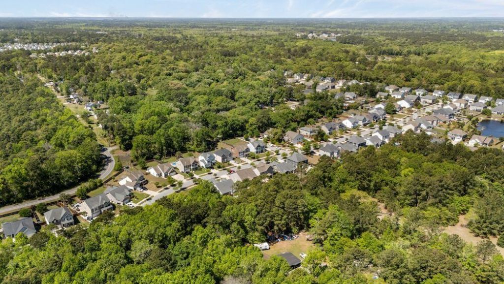 1594 Fishbone Drive Photo 51