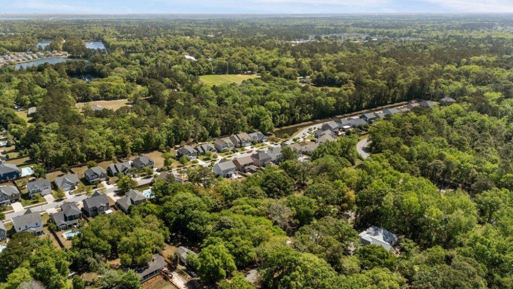 1594 Fishbone Drive Photo 53