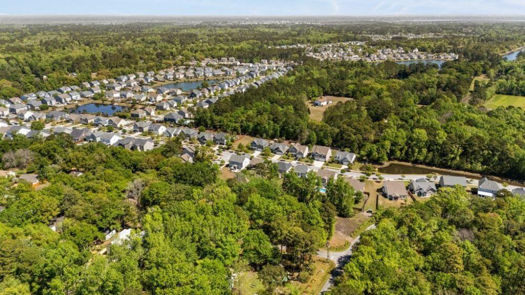 1594 Fishbone Drive Photo 54