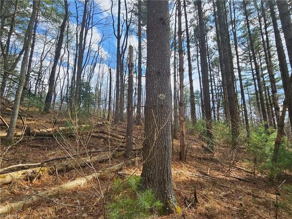 TBD Panorama Drive, Todd, NC 28684