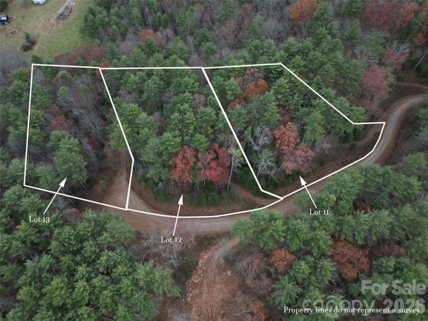 11 Wildlife Drive, Clyde, NC 28721