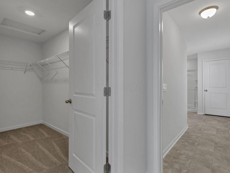 394 St James, Newark, OH 43055 Photo 24