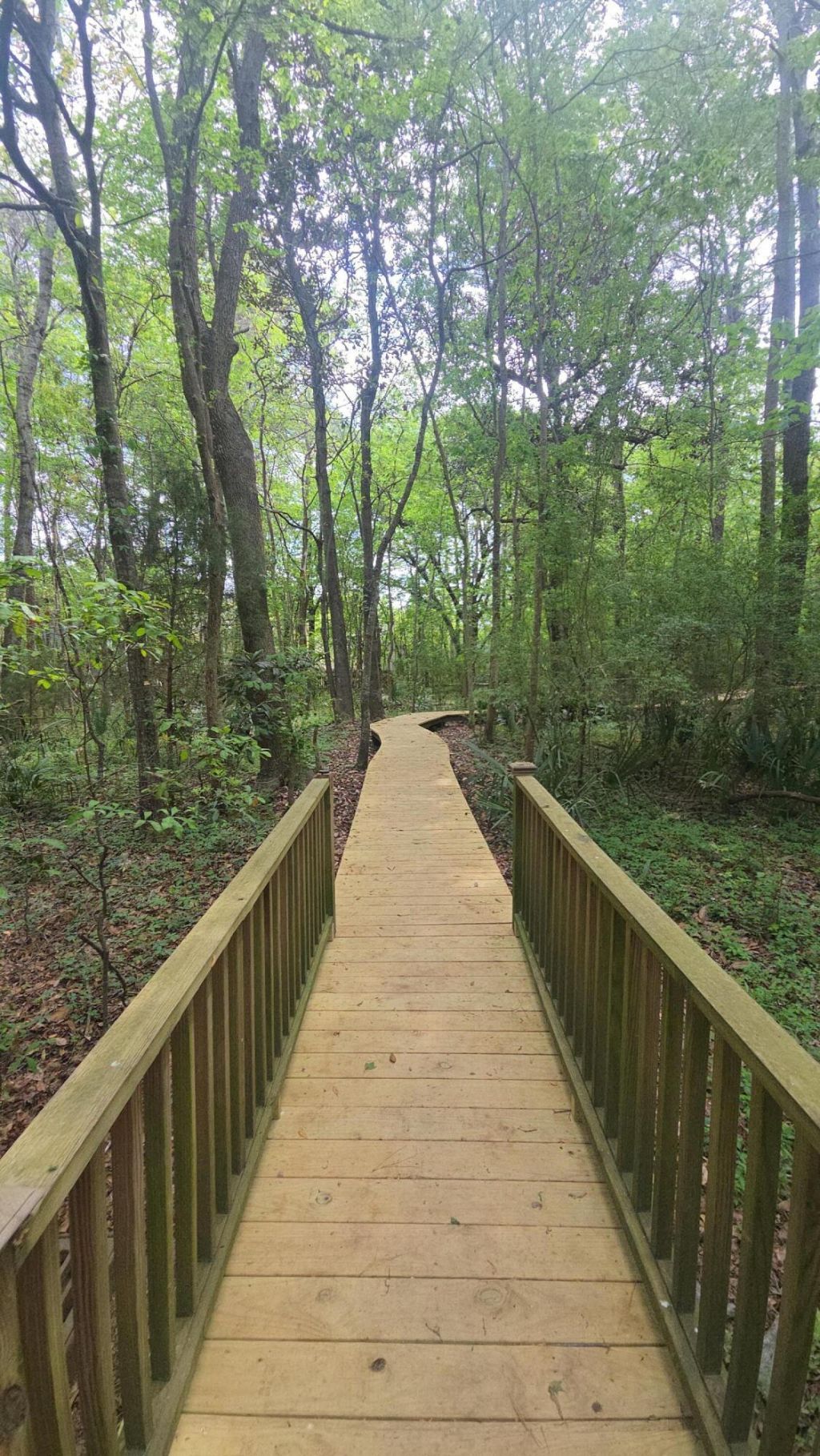 3005 Split Hickory Court Photo 34