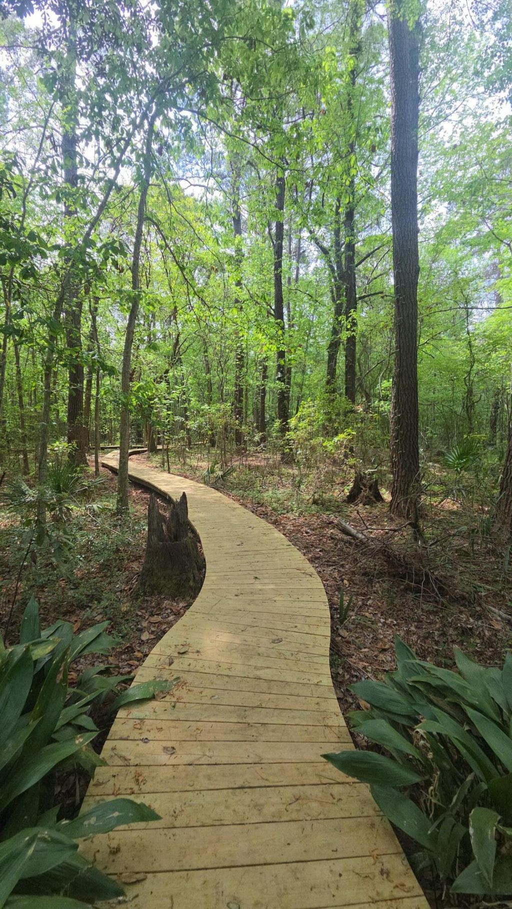 3005 Split Hickory Court Photo 35