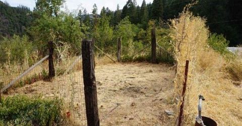 992 Rush Creek Road, Twain, CA 95984 Photo