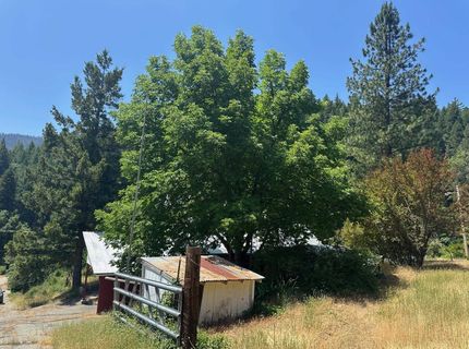 992 Rush Creek Road, Twain, CA 95984 Photo